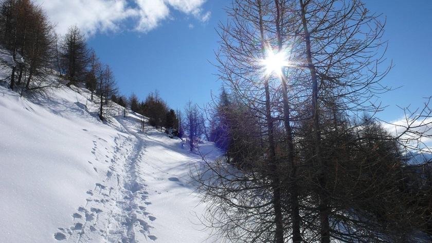 Tabla Heustall Piz Tschutta Vna Exterior foto