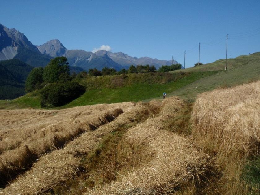 Tabla Heustall Piz Tschutta Vna Exterior foto